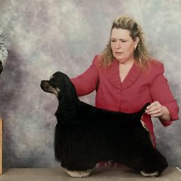 Cocmo - Cocker Spaniel