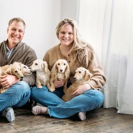 Dachshund Puppies from English Cream Dachshunds