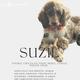 Suzie