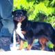 Storm