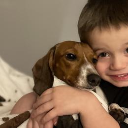 Dachshunds from L&M Red Dirt Doxies