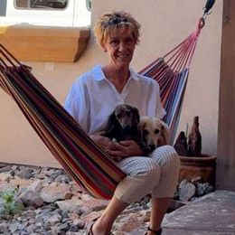 Dachshunds from The Dachshund Den