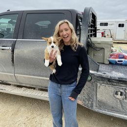 Pembroke Welsh Corgi Puppies from Loves Classic Corgis