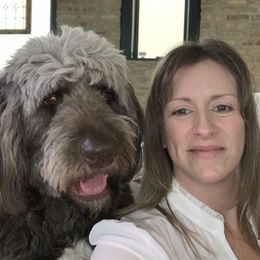 Ruby - Saint Berdoodle