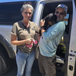 Light pink girl - Black and mahogany female Rottweiler puppy in Lebanon, Oregon from SOUTH SANTIAM ROTTWEILERS