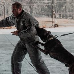 Belgian Malinois and xDutch Shepherd All Grown Up from Alliance K9
