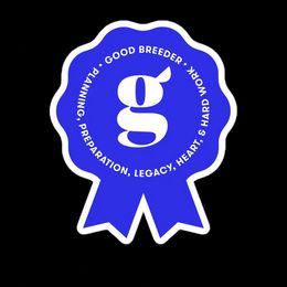 French Bulldogs from BOLD BLUE ENDEAVORS