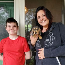 Dachshund Puppies from Doxie Lakes
