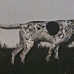 CJ - Pointer