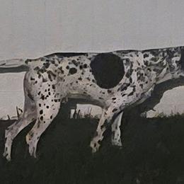 CJ - Pointer