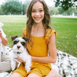 Miniature Schnauzers from Daffodil Dogs