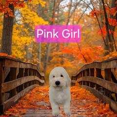 Pink - White female Komondor puppy in Auburn, Kentucky from Christmas Komondors