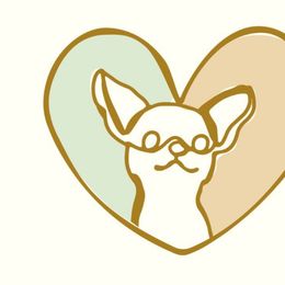 Prada - Chihuahua