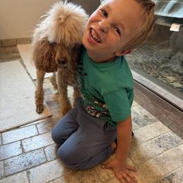 Poodle All Grown Up from A Stone’s Throw Farm
