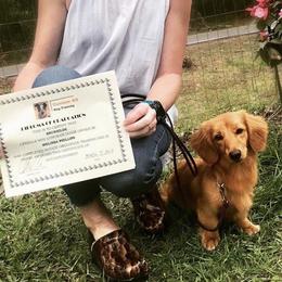 Dachshunds from Atlas Dachs