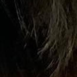 Briards from Briard