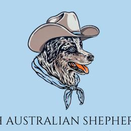 Toy Australian Shepherds from 4LH Australian shepherds