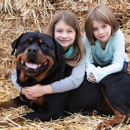Rottweilers from The C & G Rottweiler Family