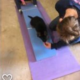 German Shepherd Puppies from Emeraldoaks German Shepherds