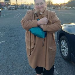 Amethyst - Sable and white female Shih Tzu puppy in Boston, Massachusetts from NFST IMPERIAL SHIHTZU PUPPIES