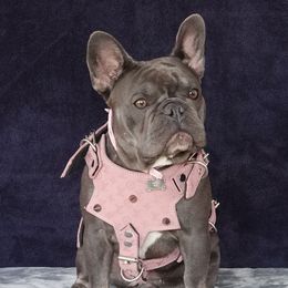Cristal Rose' - French Bulldog