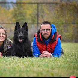 German Shepherd Puppies from Vom Broward Haus