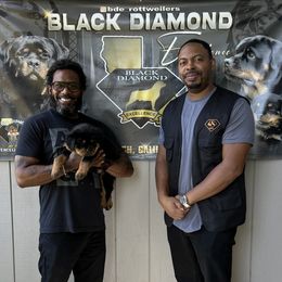 Rottweiler Puppies from Black Diamond Excellence rottweiler kennel