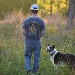 Border Collies from Bear Hollow Border Collies
