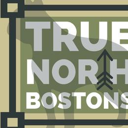 Boston Terriers from True North Bostons