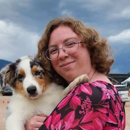 Australian Shepherds, Miniature Australian Shepherds, and Toy Australian Shepherds from Within The Nile Aussies LLC