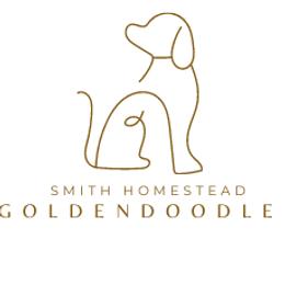 Goldendoodles from Smith Homestead Doodles