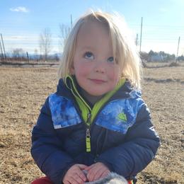 Wirehaired Pointing Griffon Puppies from Idaho Wirehaired Pointing Griffons