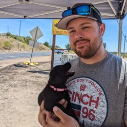 Dilute Retriever and Labrador Retriever Puppies from LC Hunting Labs, LLC.