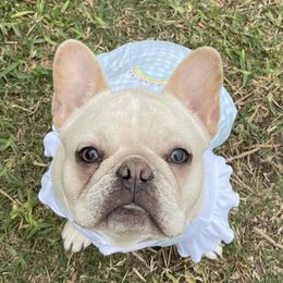 French Bulldogs from The Frenchie Allure