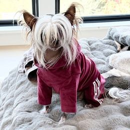 Manya - Chinese Crested