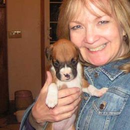 Boxer Puppies from CinniBon Boxers