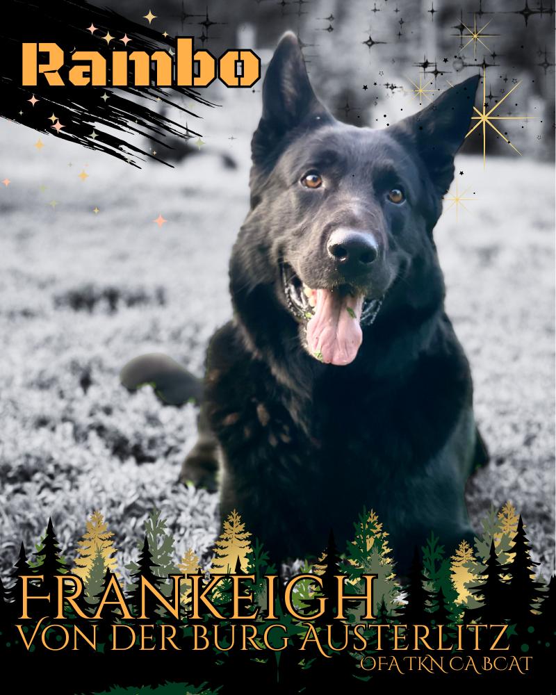 Rambo