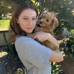 Double Doodle and Goldendoodle Puppies from Red White and Doodle