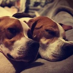 Pointers from Prosperity Pointers