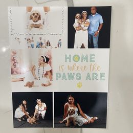 Poodle Puppies from Red toy poodles