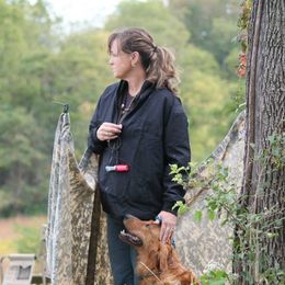 Golden Retrievers from Kelakye Goldens