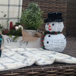 Girl 4 - Sophie - Black and white female Siberian Husky puppy in Coatesville, Pennsylvania from Amore Puppies