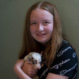 Border Collie Puppies from Air Capital Border Collies