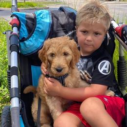 Goldendoodle Puppies from Lu Doodles