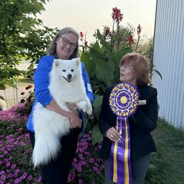 Mazzy - American Eskimo Dog