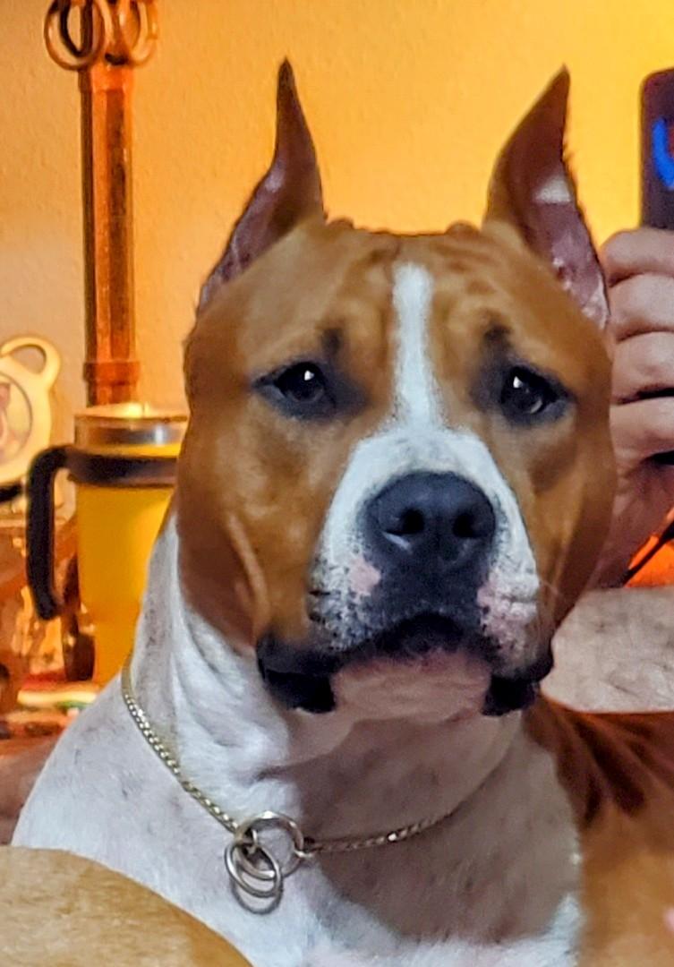 Ruby