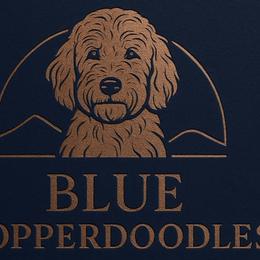 Goldendoodles from BlueCopper Doodles