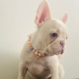French Bulldogs from Ramirez Frenchies