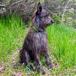 Price - Berger Picard