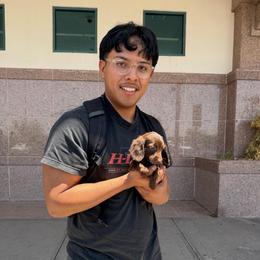 TINY Solid Chocolate Longhair Female - Chocolate female Dachshund puppy in Horizon City, Texas from Micah's Minis